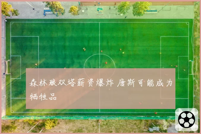 森林狼双塔薪资爆炸 唐斯可能成为牺牲品